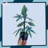 Papercraft - Une plante tout à fait normale